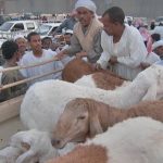 ഖത്തറില് റമദാന് മാസ ഇറച്ചിയാവശ്യങ്ങള്ക്കായി 90000 ആടുകളെ ഇറക്കുമതിചെയ്തേക്കും.