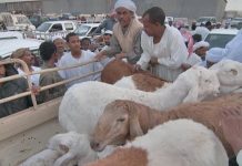ഖത്തറില് റമദാന് മാസ ഇറച്ചിയാവശ്യങ്ങള്ക്കായി 90000 ആടുകളെ ഇറക്കുമതിചെയ്തേക്കും.