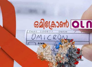 സൗദി അറേബ്യയില് ഒമിക്രോണ് വകഭേദം സ്ഥിരീകരിച്ചു..