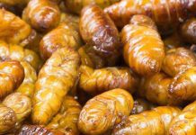 ആഭ്യന്തര വിപണിയിലെത്തുന്ന ഭക്ഷ്യ സാധനങ്ങൾ ഹലാൽ മാനദണ്ഡങ്ങൾ പാലിക്കുന്നുണ്ടോ എന്ന് പരിശോധിക്കാൻ ശക്തമായ നടപടി…