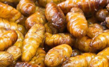 ആഭ്യന്തര വിപണിയിലെത്തുന്ന ഭക്ഷ്യ സാധനങ്ങൾ ഹലാൽ മാനദണ്ഡങ്ങൾ പാലിക്കുന്നുണ്ടോ എന്ന് പരിശോധിക്കാൻ ശക്തമായ നടപടി…